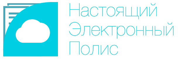 Настоящий Электронный Полис